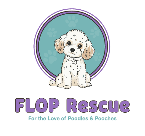 For the Love of Poodles & Pooches